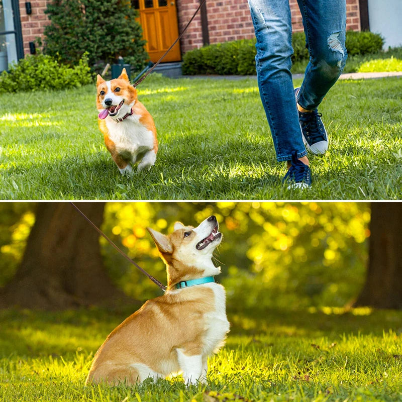 Refined Pup™ Leather Dog Leash