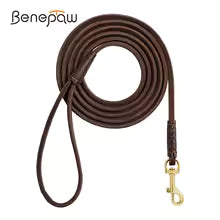 Refined Pup™ Premium Leather Dog Collar and Leash Set