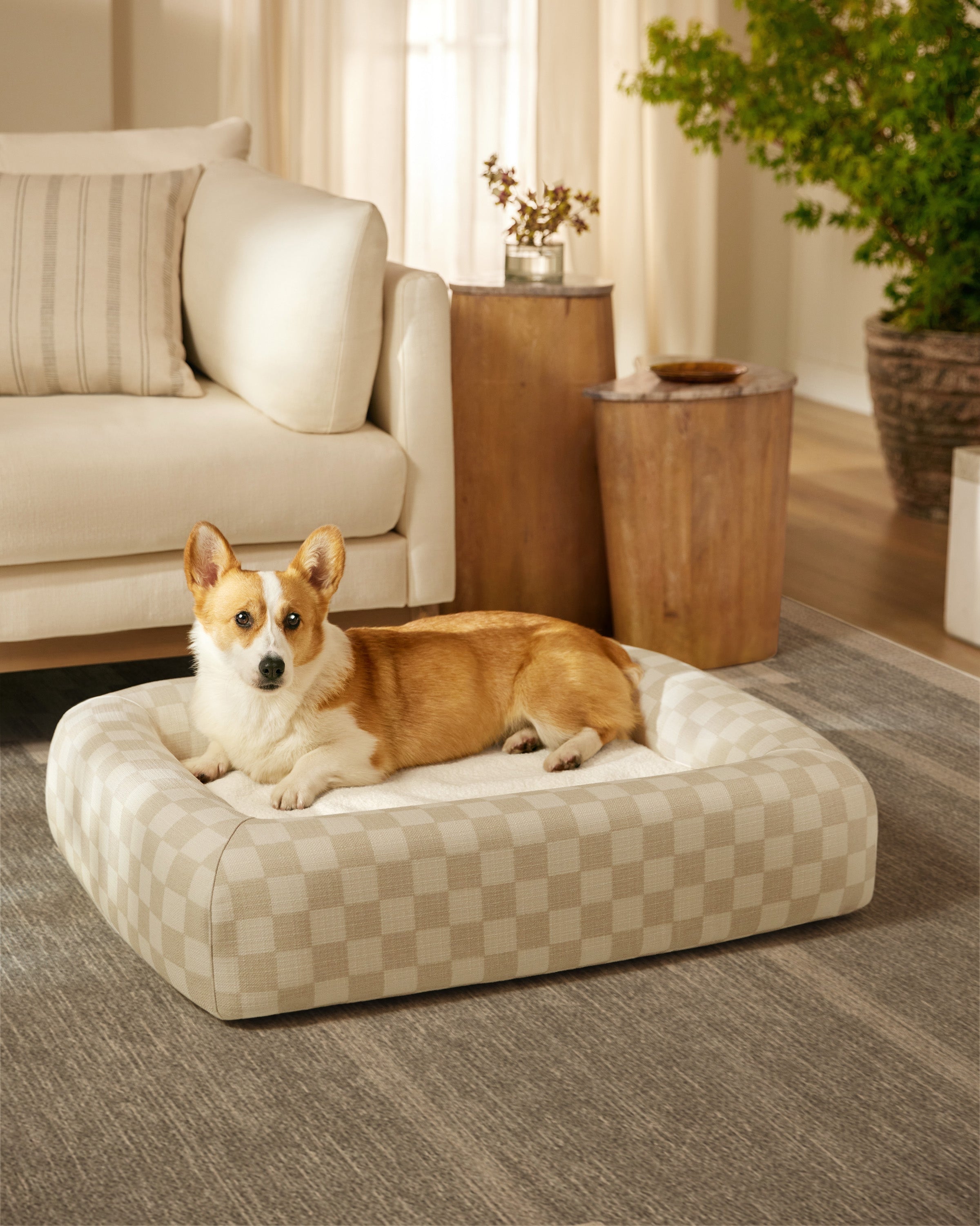 The Refined Pup™ Orthopedic Dog Bed