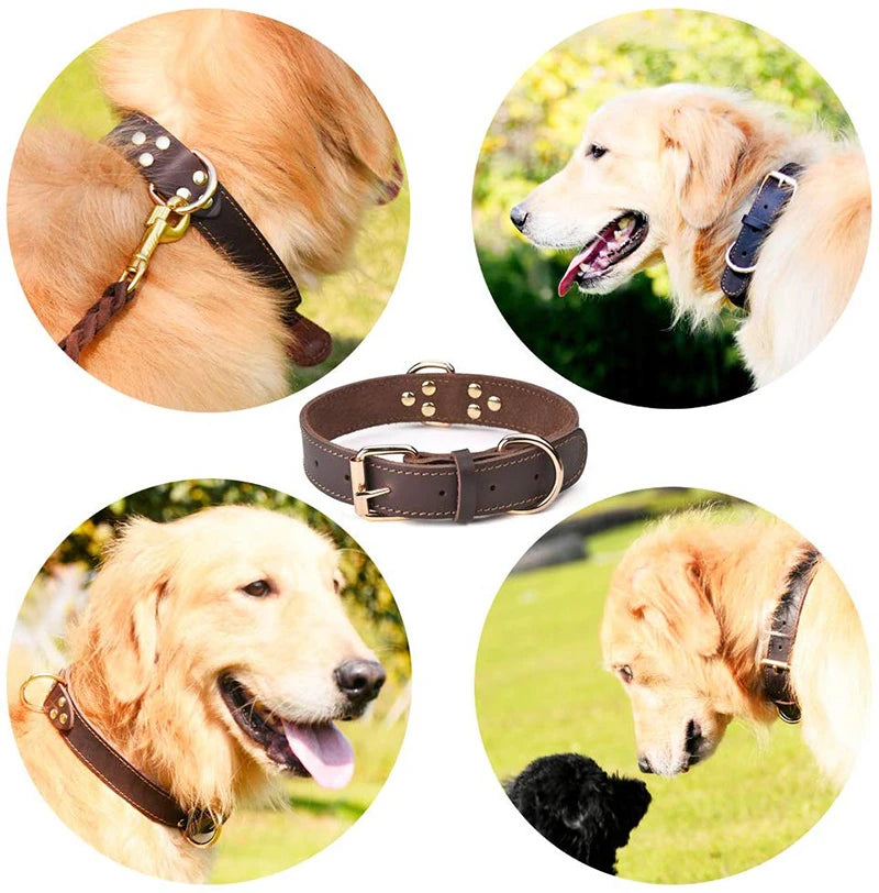 Refined Pup™ Leather Collar