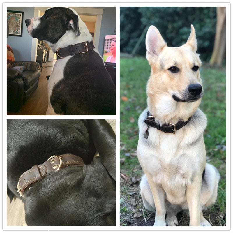 Refined Pup™ Leather Collar