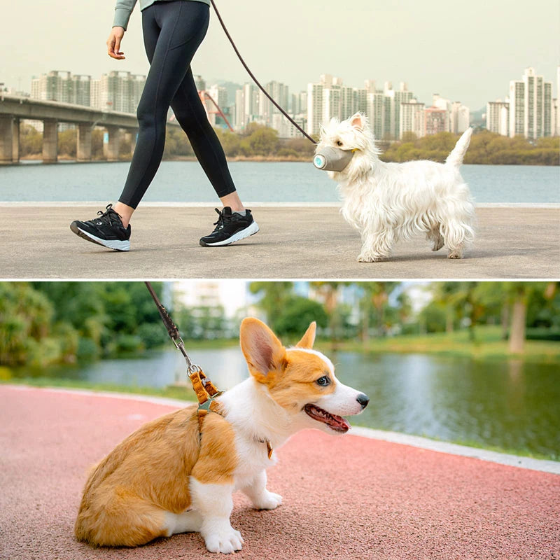 Refined Pup™ Leather Dog Leash