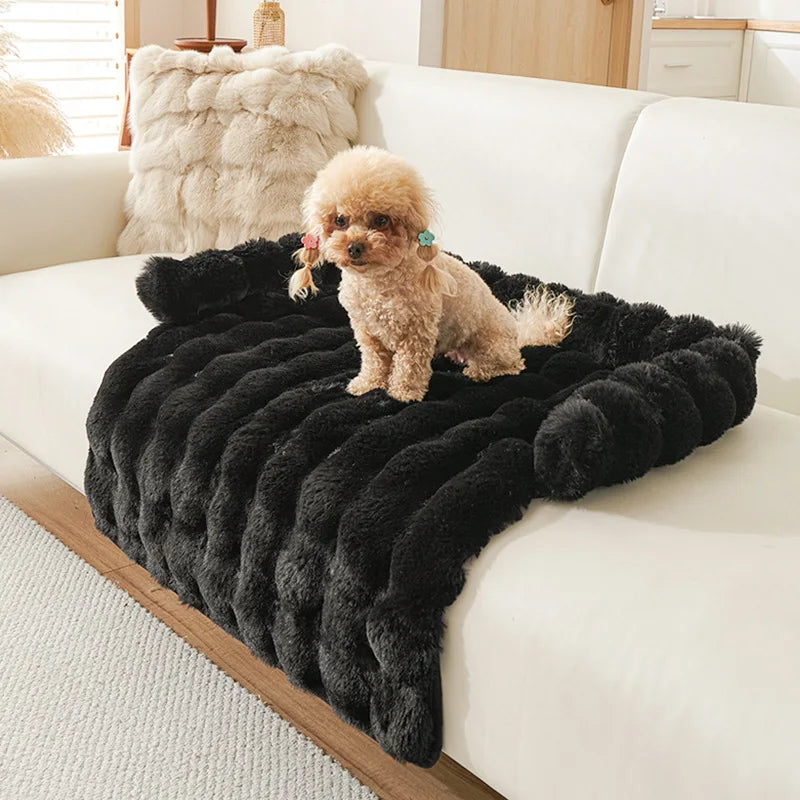 The Cloud Plush Bed