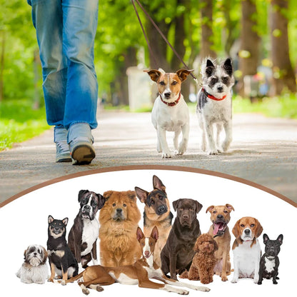 The Heritage Double Dog Leash